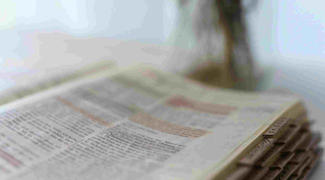 Что делать в противоречиями в Библии?