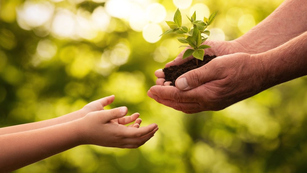 Пожилые верующие все еще могут сделать многое