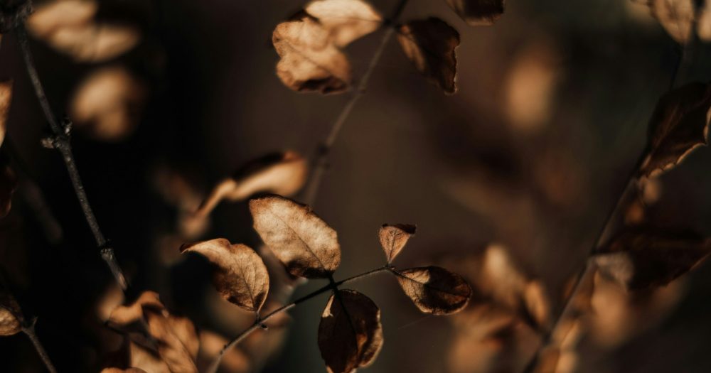 Где любовь Бога, когда жизнь идет не так?