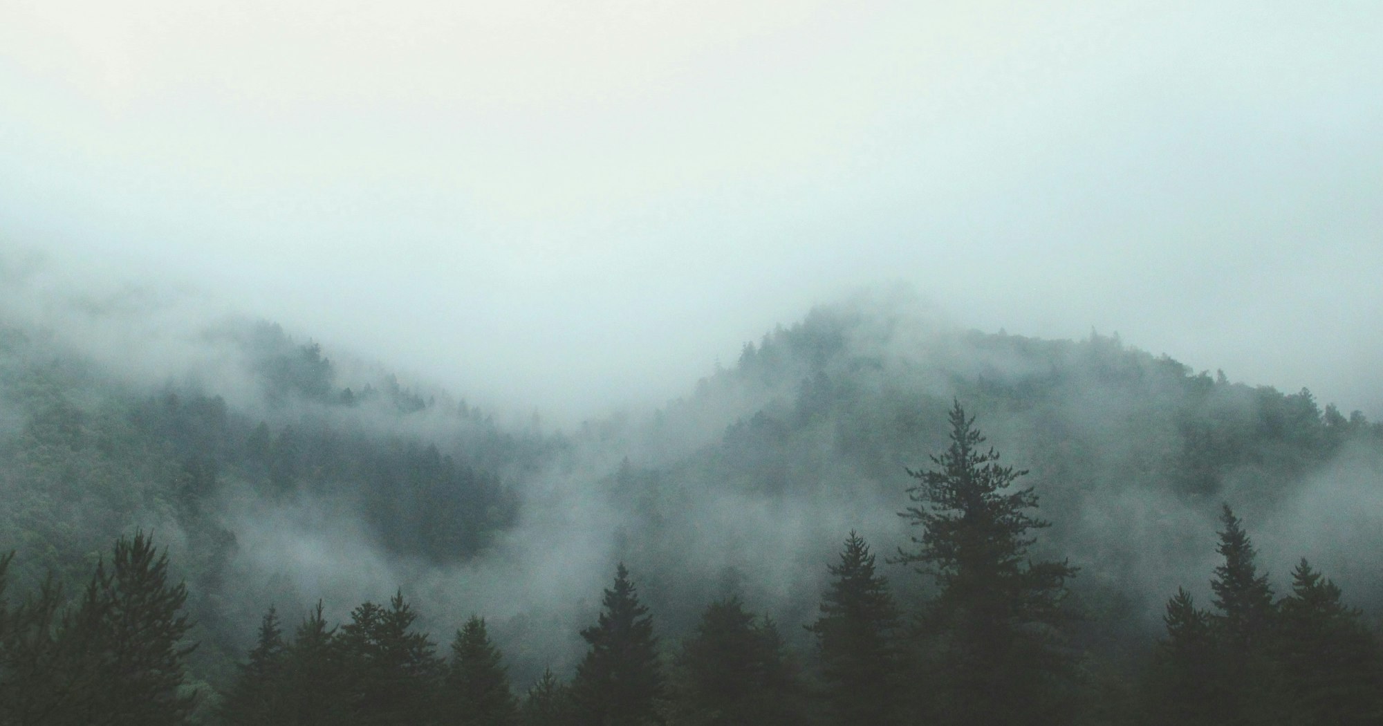 Жалею о дне, когда я родился