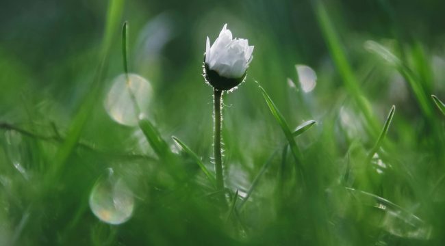Рожденный свыше, ты совершенно новый человек