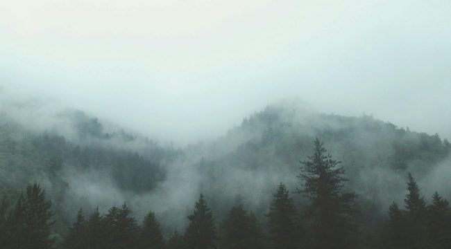 Жалею о дне, когда я родился