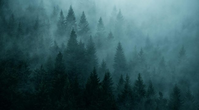 Радоваться гонениям, не романтизируя боль