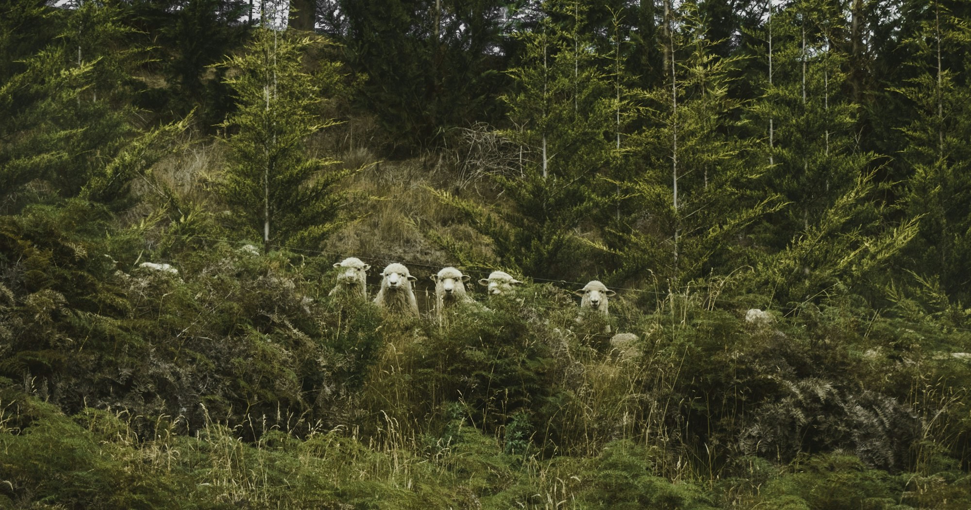 Руководство для застенчивого парня по большим группам
