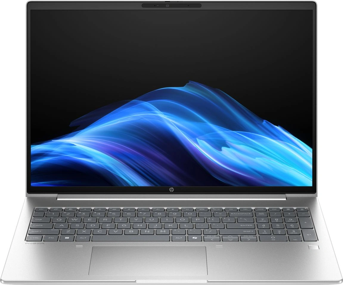 Ноутбук HP ProBook 4 G1i Core Ultra 5 225U 16Gb SSD256Gb Intel Graphics 16" IPS WUXGA (1920x1200) Windows 11 Pro silver WiFi BT Cam (BB3Q4UT)