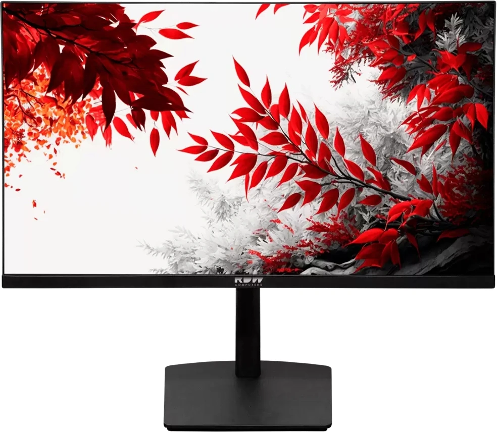 Монитор RDW Computers 31.5" RDW3207 черный IPS 1ms 16:9 HDMI M/M полуматовая HAS Piv 1000:1 350cd 178гр/178гр 2560x1440 100Hz G-Sync FreeSync VGA DP QHD USB (RUS)