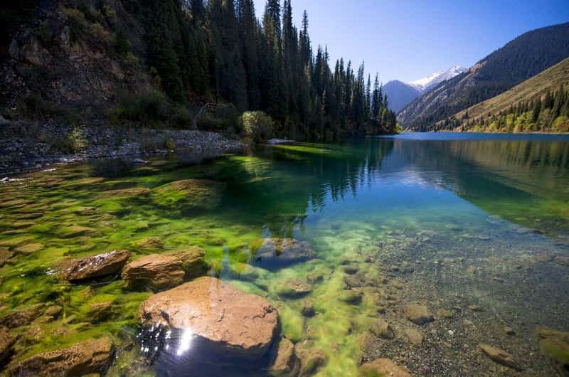 Kolsai Lake, Almaty City - Book Tickets & Tours | GetYourGuide