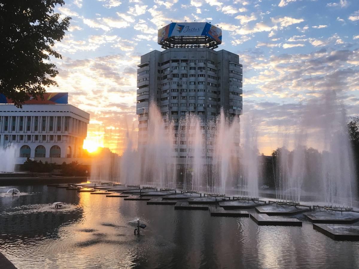 Весенние полевые цветы на фоне заснеженных гор