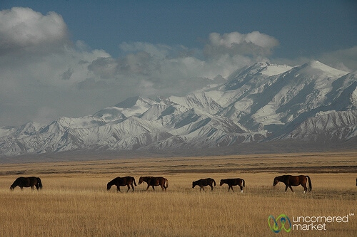 Wide Central Asian landscape blending mountains and steppe