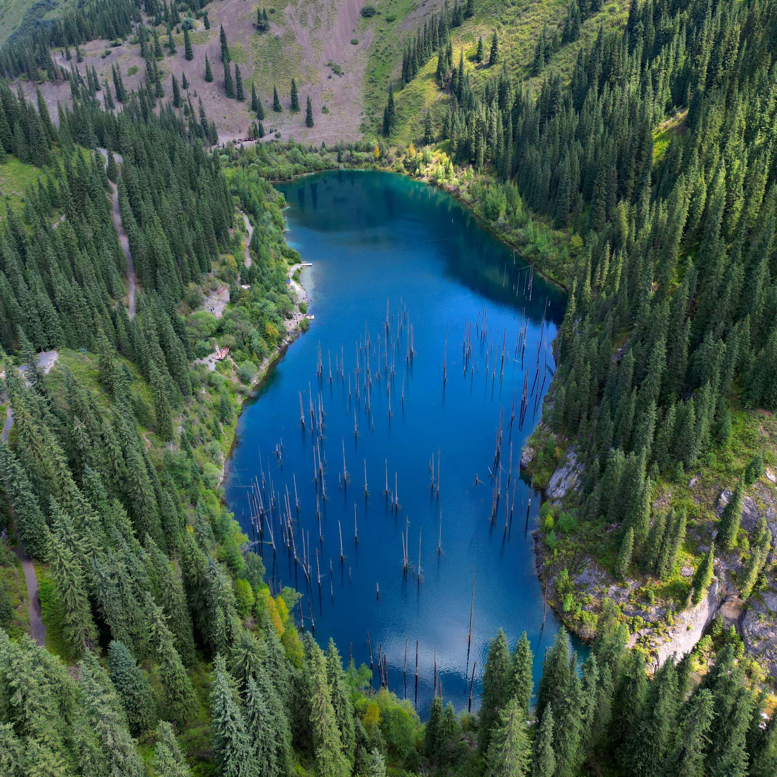 Изображение 5