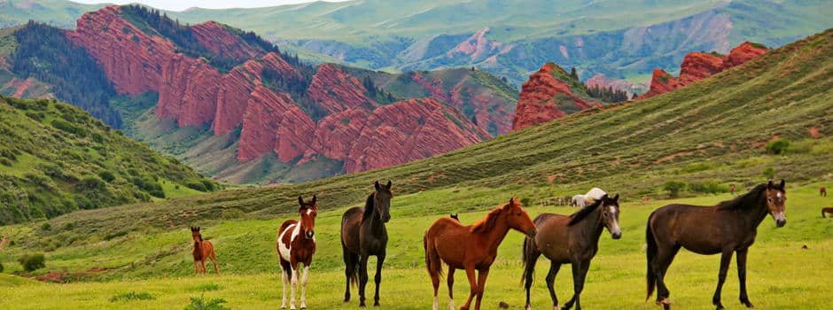 8-दिवसीय निजी साहसिक यात्रा: कजाकिस्तान और किर्गिस्तान Tour route with scenic nature in Kazakhstan