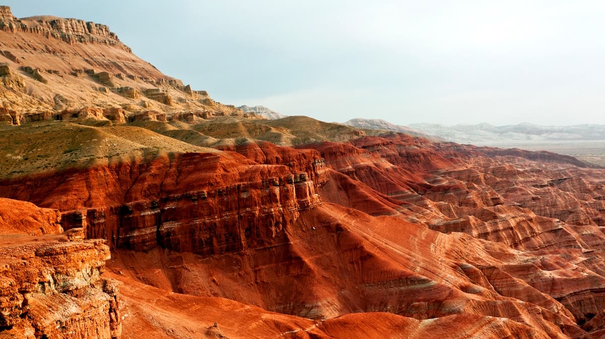 Discover Wildlife in Altyn Emel National Park at राष्ट्रीय उद्यान «अल्तिन-एमेल», Kazakhstan