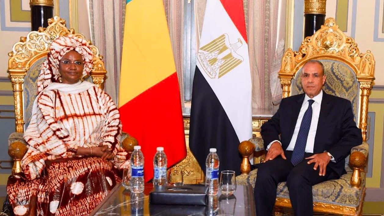 Coopération Mali-Égypte : Oumou Sall Seck et son homologue conviennent de renforcer les liens bilatéraux