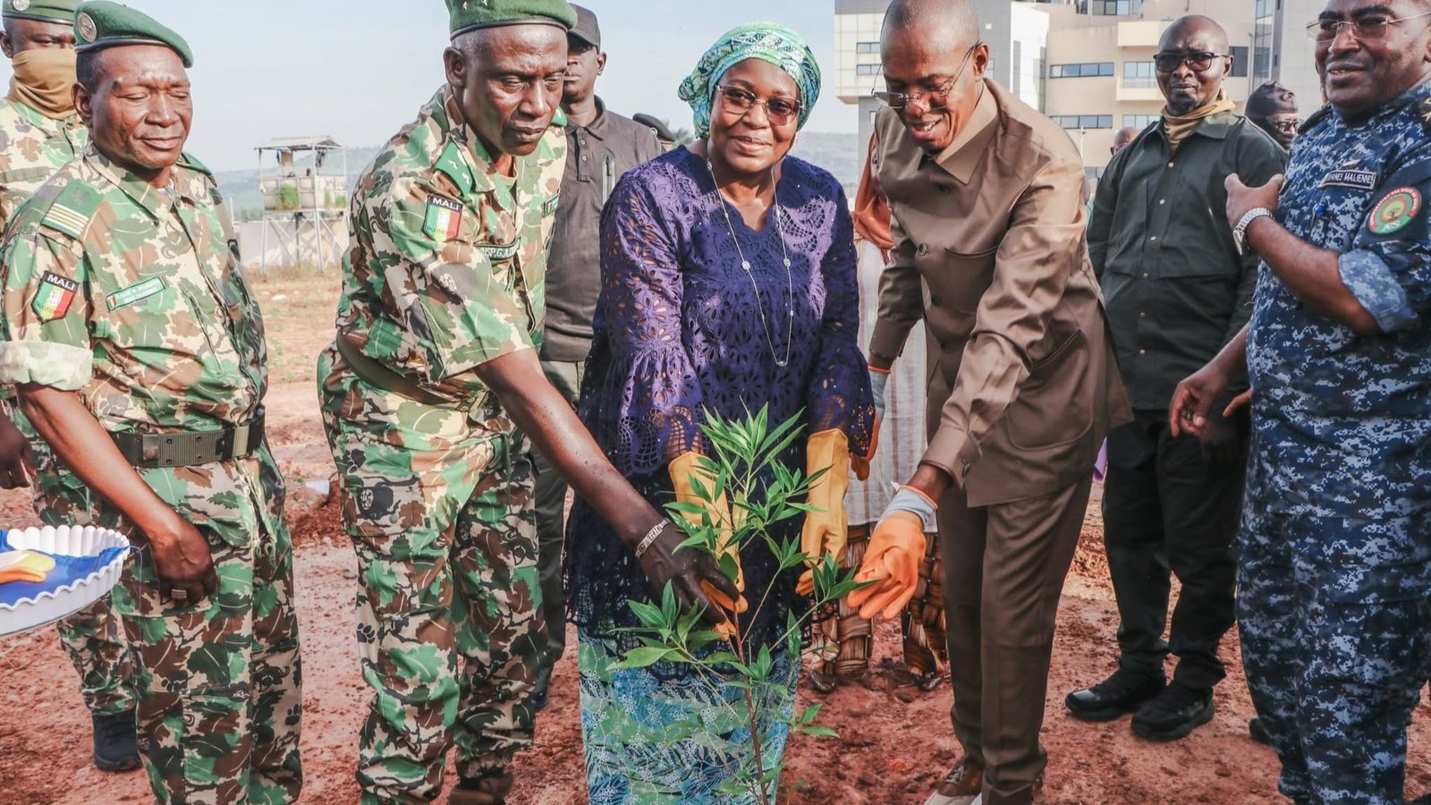 Samanko : Alousséni Sanou plante 2 000 arbres pour renforcer le couvert végétal de Bamako