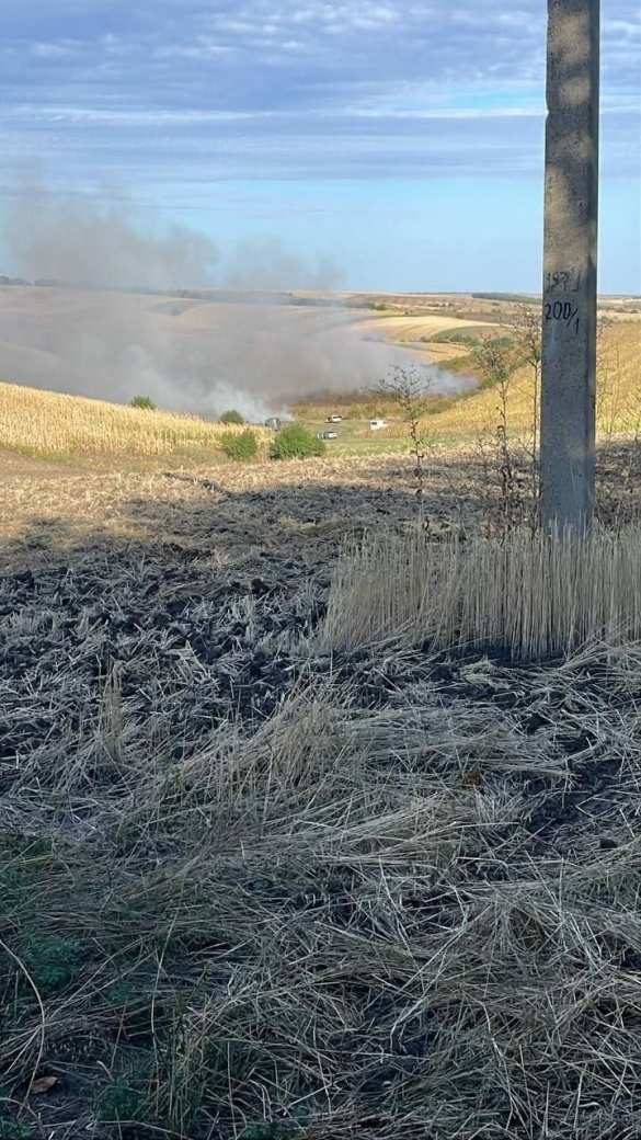 Дрон залетел в Молдову, потом в Румынию, вернулся в Молдову и взорвался, возникли 4 очага пожаров (ФОТО) | Русская весна