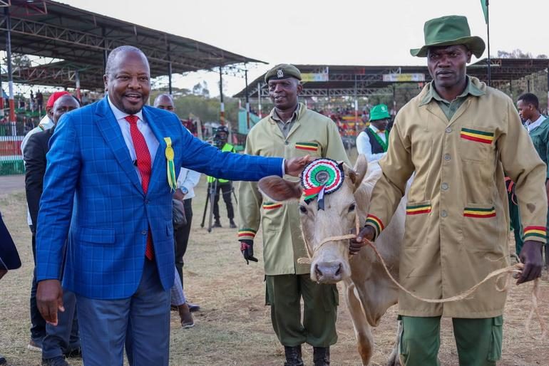 CS Mutahi Kagwe views a cow during the official opening of the Central Kenya National Show 2026 in Nyeri on 11th September 2026 (Image: Files)