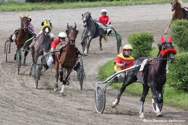Курганцам устроят большой конноспортивный праздник