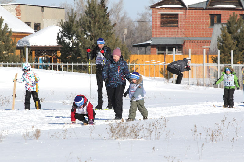 Курганцев приглашают на спортивные занятия на свежем воздухе