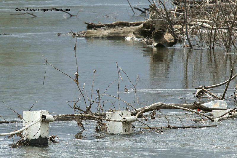 В Курганской области талые воды затопили дорогу между селами