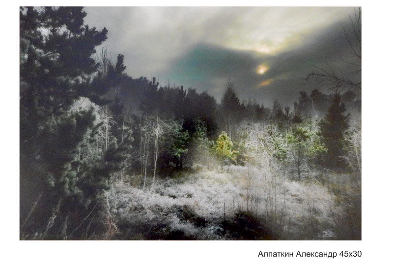 Зауральцам предлагают поучаствовать в национальном фотоконкурсе