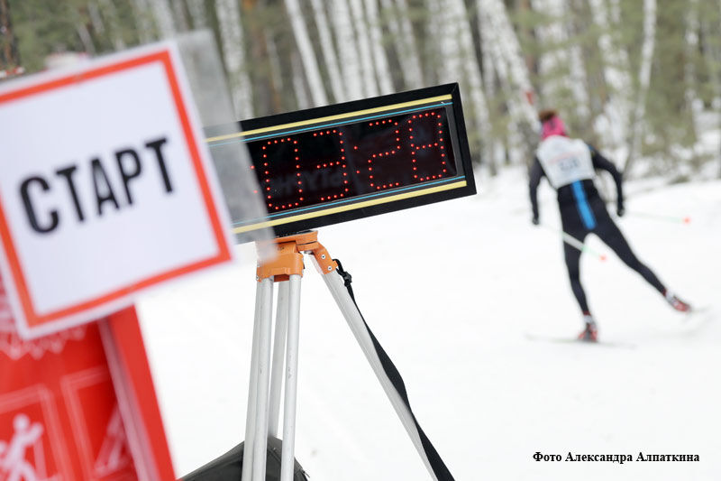 Ориентировщики Зауралья выявили лучших