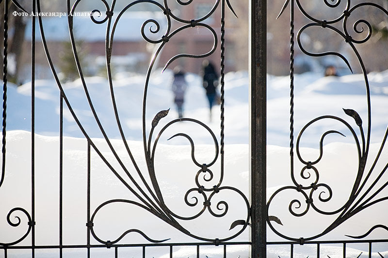 Андрей Потапов: «Будем обжаловать решение Арбитражного суда по Городскому саду»