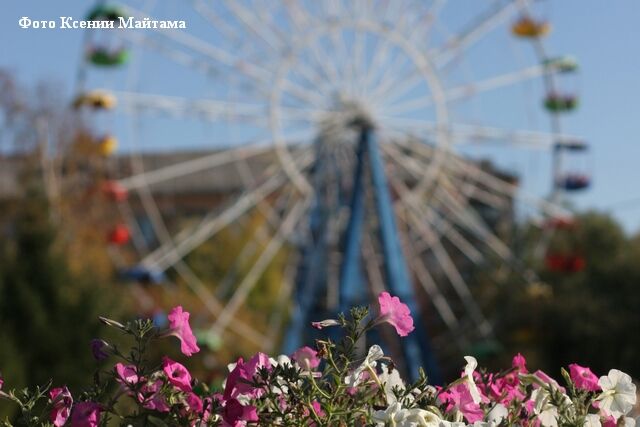 Сергей Руденко предложил высадить по одному цветку на каждого жителя Кургана