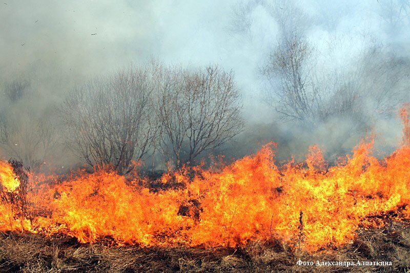 Пять природных бед Зауралья