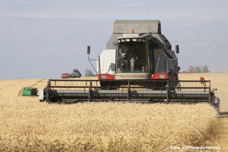 В Зауралье катастрофически не хватает вагонов для вывоза рекордного урожая