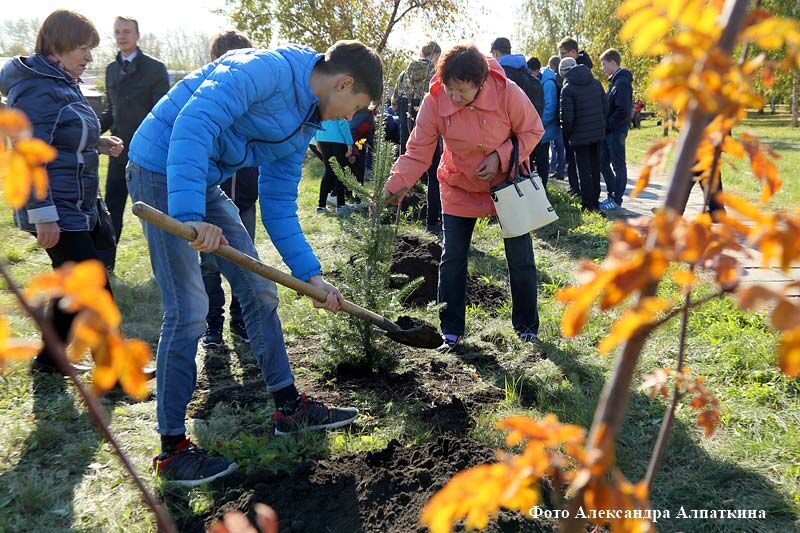 В парке Илизарова появилась новая аллея