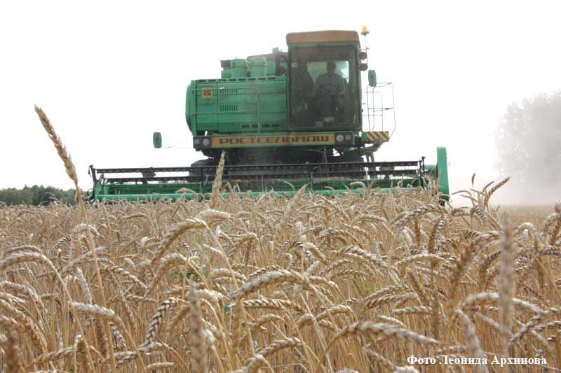 Столица агропрома или «сырьевой придаток»?