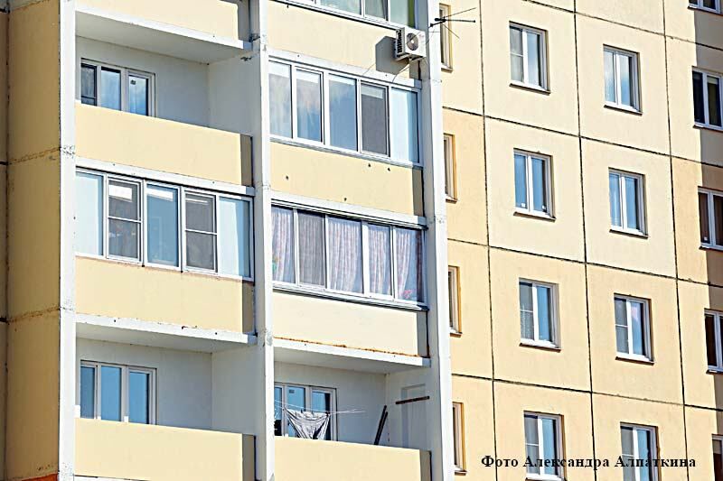 Курганец отправится на обязательные работы за убийство щенка