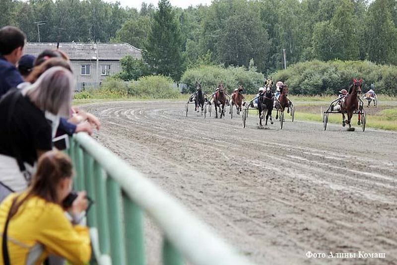 Курганский ипподром закроет сезон единственным в России чемпионатом среди женщин-наездниц