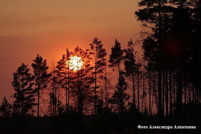 Ожидается мощная магнитная буря