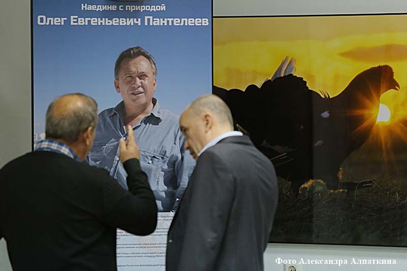 170 работ, сделанных мастерами пейзажной и анималистической фотографии, будут представлены на фестивале природы «Первозданная Россия»