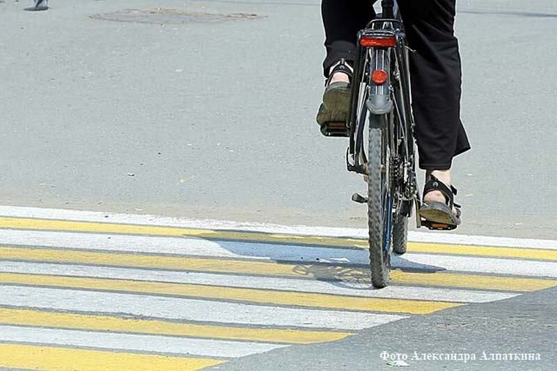 В Курганской области водитель сбил велосипедиста