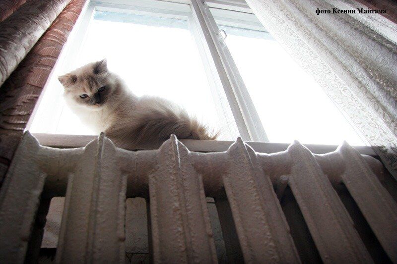 Один из домов жилого комплекса «ZАозёрный» компании «Речелстрой» готов к подаче тепла