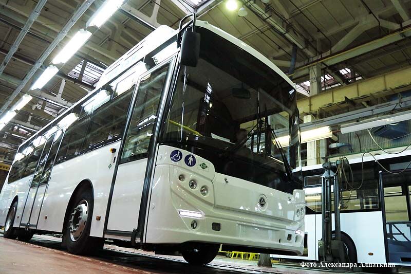 Курганские автобусы вновь отправятся в Латинскую Америку