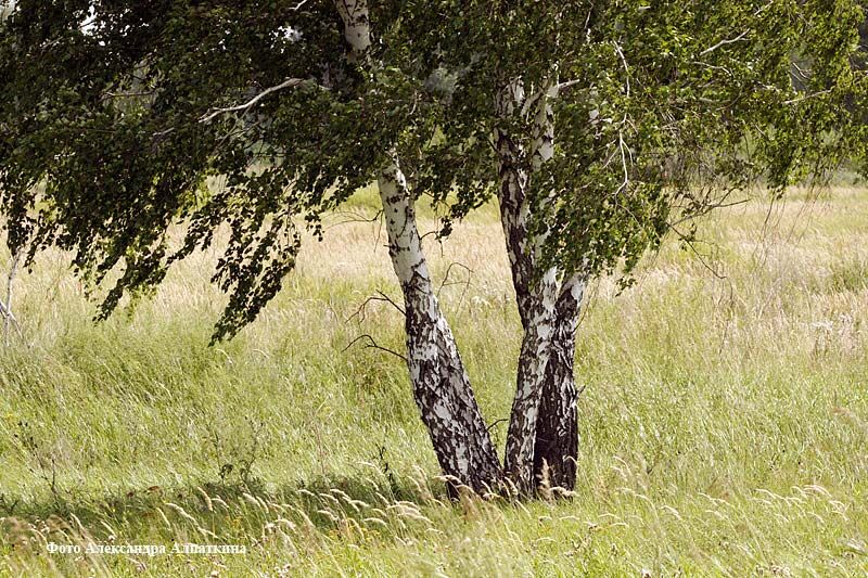 Сегодня – день экологических знаний