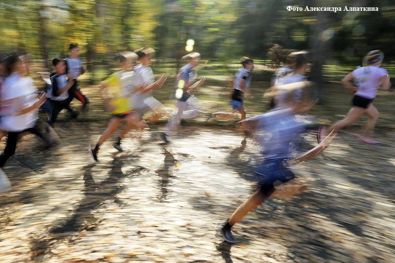 Как с умом потратить чужие деньги?