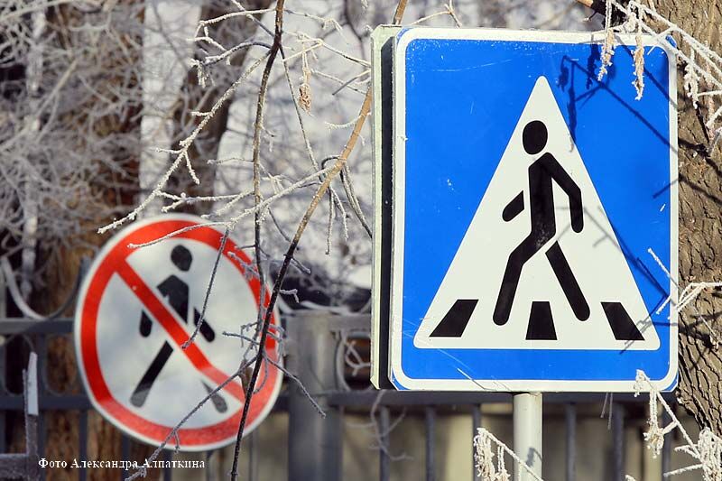 В Кургане школьники посоревнуются в знаниях по дорожной безопасности