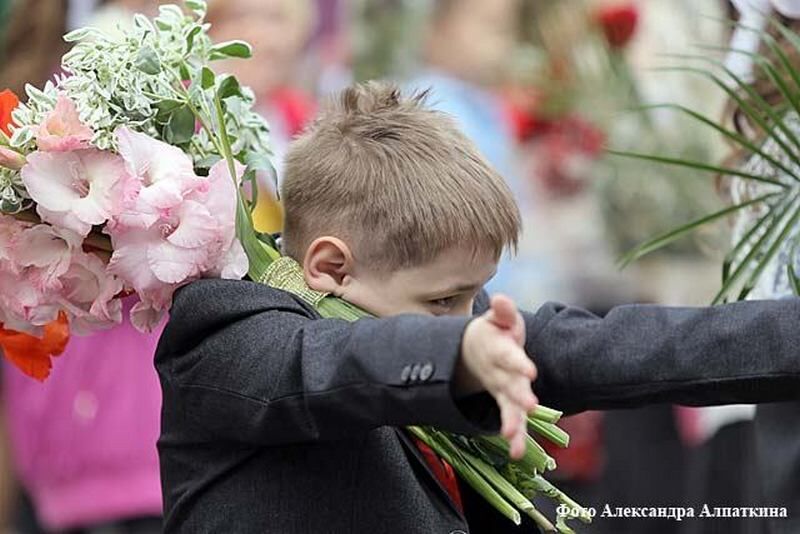 В Кургане сервис «Максим» намерен привлечь как можно больше перевозчиков в День знаний
