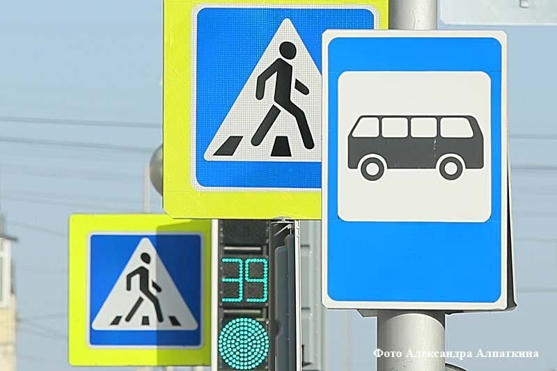 Курганцев пока не штрафуют за переход перекрестка по диагонали