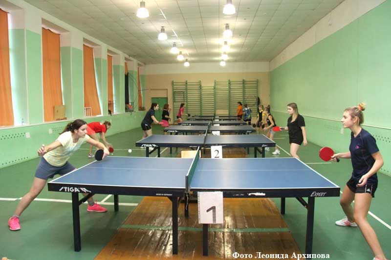 Зауральцы выявили лучших в пинг-понге