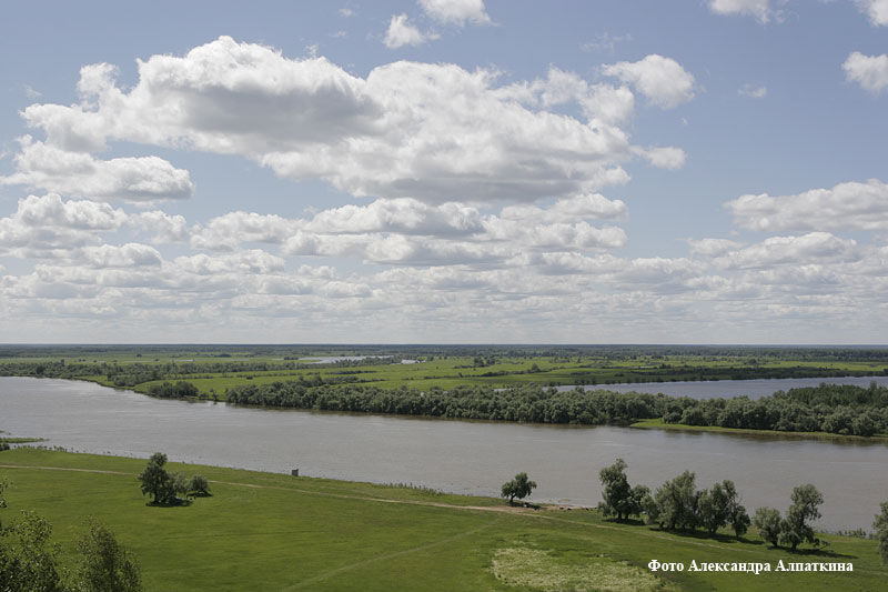 В Кургане «Водный союз» обнаружил источник систематического загрязнения Тобола