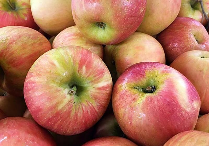 У православных жителей Курганской области начался Успенский пост