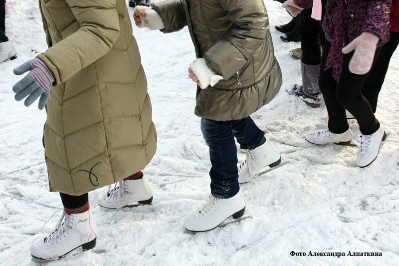 В Кургане планируется работа семи катков