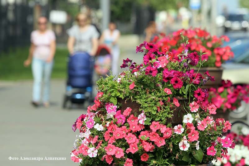 О привычках. И не только о них