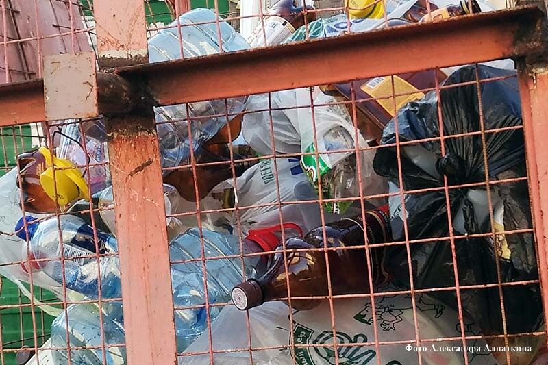 Регоператор объяснил, почему несколько дней в Кургане не вывозили мусор