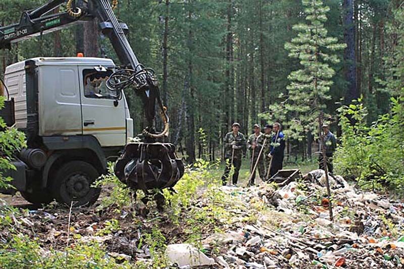 Увеличились штрафы за мусор в лесу